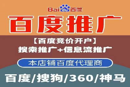 搜索引擎营销（SEM）在移动端的推广案例